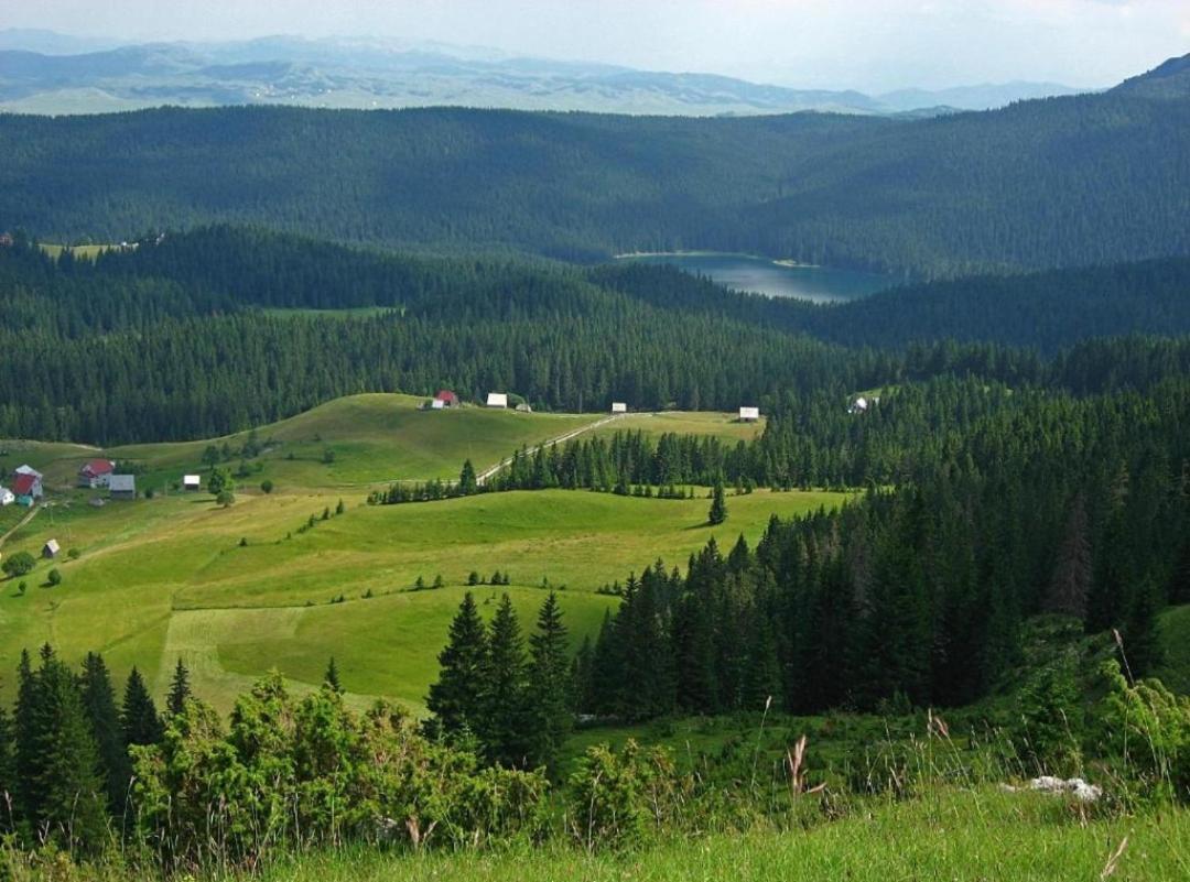 Cottage 1600 Bosaca Nikšić Zewnętrze zdjęcie